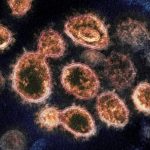 Reporterka švedske državne televizije bila prisiljena da prestane sa istraživanjem vezanim za curenje virusa iz WUHANA!