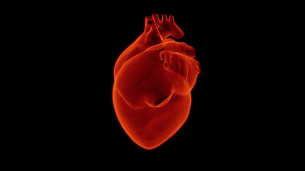 CDC ZVANIČNO NAKON HITNOG SASTANKA: Postoji veza između upale srčanog mišića nakon primanja vakcine