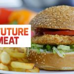 NEKO ZA PLJESKAVICU?! Pokrenuta je proizvodnja veštačkog mesa u Izraelu! Burgeri koji rastu od životinjskih ćelija