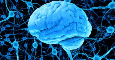 MAGNETO PROTEIN: GENETSKI INŽINJERING ZA KONTROLU MOZGA I PONAŠANJA