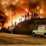 BROJ ŽRTAVA VRUĆINE U KANADI RASTE, DO SADA 500 MRTVIH (VIDEO)