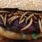 PROFESORKA UNIVERZITETA VANDERBILT TVRDI DA SVI MORAMO DA JEDEMO BUBE I CRVE