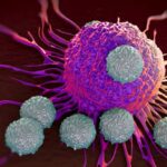 T ĆELIJE POBEĐUJU KORONU! STUDIJE DOKAZUJU DA JE IMUNI SISTEM JAČI OD VAKCINE