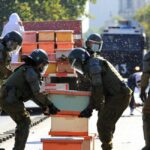 ČILE: PČELE IZBOLE POLICAJCE NA PROTESTU PČELARA