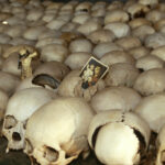 PSIHOLOŠKA TRAUMA MOŽE BITI NASLEDNA, POKAZUJU PROUČAVANJE