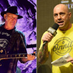 ROKER PROVAKSER NIL JANG UCENJUJE SPOTIFAJ: ILI DŽO ROGAN ILI JA