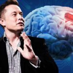 TVRDILI SU DA JE OVO TEORIJA ZAVERE! NEURALINK ILONA MASKA POČINJE TESTIRANJA ČIPOVA ZA MOZAK