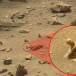 LOVAC NA NLO NA MARSU UOČIO VANZEMALJCA GUŠTERA