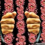 IMA SKORO 700 DANA OD KAKO SU NAM REKLI - SAMO JOŠ DVE NEDELJE DA IZRAVNAMO KRIVU - , A JEDINA STVAR KOJA JE SMANJENA JE VAŠA SLOBODA