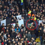 ZAŠTO LJUDI STRADAJU I ŠTA SE DEŠAVA SA OVOM PRELEPOM IGROM?