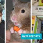 HONG KONG: VLASTI ODUZIMAJU HRČKE ZBOG NAVODNOG ŠIRENJA KORONE! MASOVNO UBIJANJE KUĆNIH LJUBIMACA