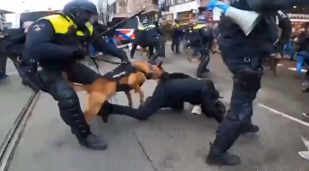 BRUTALNO NASILJE POLICIJE NA ANTI COVID PROTESTU U AMSTERDAMU! PUŠTAJU POLICIJSKE PSE DA UJEDAJU OKUPLJENE, BIJU SVE REDOM (VIDEO)