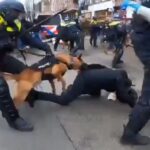 BRUTALNO NASILJE POLICIJE NA ANTI COVID PROTESTU U AMSTERDAMU! PUŠTAJU POLICIJSKE PSE DA UJEDAJU OKUPLJENE, BIJU SVE REDOM (VIDEO)