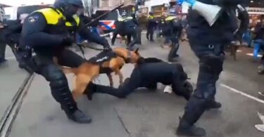 BRUTALNO NASILJE POLICIJE NA ANTI COVID PROTESTU U AMSTERDAMU! PUŠTAJU POLICIJSKE PSE DA UJEDAJU OKUPLJENE, BIJU SVE REDOM (VIDEO)