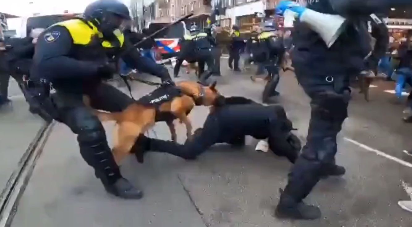  BRUTALNO NASILJE POLICIJE NA ANTI COVID PROTESTU U AMSTERDAMU! PUŠTAJU POLICIJSKE PSE DA UJEDAJU OKUPLJENE, BIJU SVE REDOM (VIDEO)