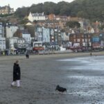 MISTERIOZNA BOLEST STOTINA PASA PODIŽE UZBUNU U VELIKOJ BRITANIJI