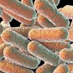 ISTRAŽIVAČI UPOZORAVAJU NA MOGUĆI NAPAD SUPERBAKTERIJE