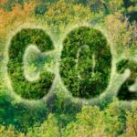 NOVO NORMALNO U SKLOPU KLIMATSKE HISTERIJE! VEŠTAČKA STABLA USKORO U VAŠOJ ULICI