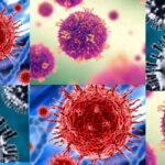 Nova TEORIJA curenja virusa nema veze sa Kinom. Da li je odavde sve krenulo?