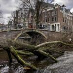 Pustoš u Evropi nakon oluja i vremenskih nepogoda - milioni bez struje, ima i poginulih