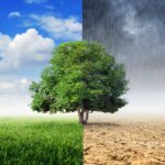 HIT! Britanski sekretar za životnu okolinu: Klimatske promene su dobre za farmare