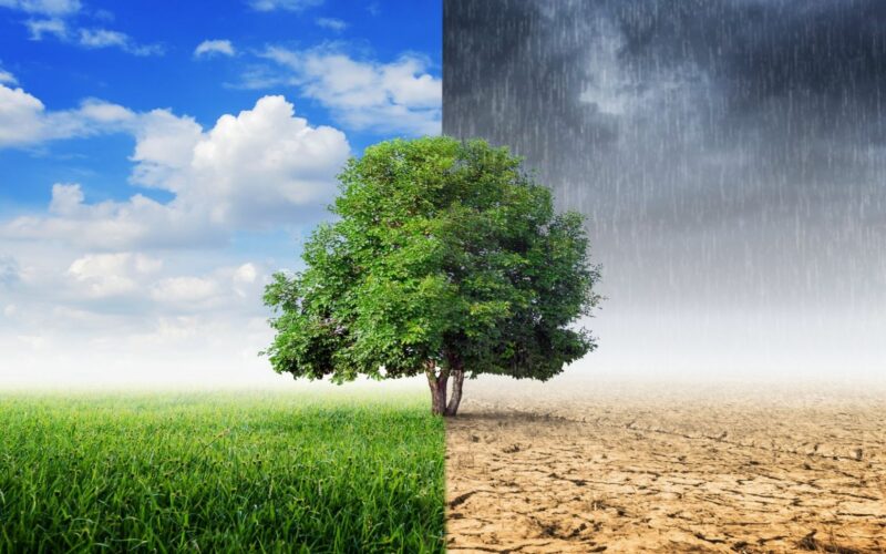  HIT! Britanski sekretar za životnu okolinu: Klimatske promene su dobre za farmere
