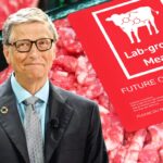 Bil Gejts poziva bogate zemlje da potpuno pređu na sintetičko meso zbog klimatskih promena (VIDEO)