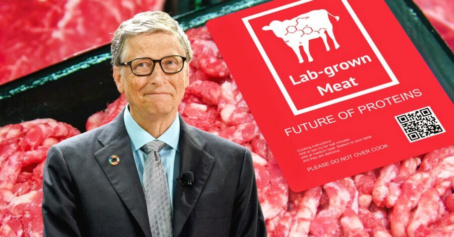  Bil Gejts poziva bogate zemlje da potpuno pređu na sintetičko meso zbog klimatskih promena (VIDEO)