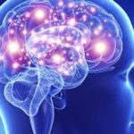 U Australiji nova epidemija! Širi se smrtonosna bolest