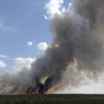 Kina: Ovo su prvi snimci sa mestga gde se srušio Boing 737! Plamen guta šumu