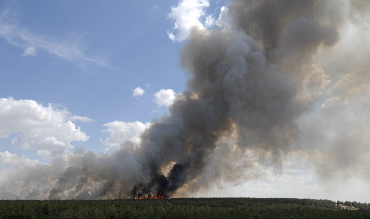  Kina: Ovo su prvi snimci sa mesta gde se srušio Boing 737! Plamen guta šumu