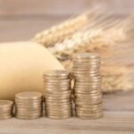 Globalna kriza zbog rasta cena osnovnih životnih namirnica se nastavlja