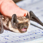 Sumnje na smrtonosne biološke agense koji se nalaze u Ukrajinskim laboratorijama, stvarani kao oružje protiv Rusa