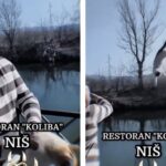 Niš: Pao zlostavljač životinja koji je bacio mačku u reku