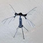 Južna Koreja razvija mikrorobote nalik instektima za buduće vojne misije u eri Četvrte Industrijske Revolucije