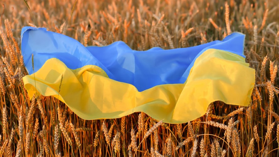  Ukrajinsko državno telo za istorijska istraživanja: Ukrajinci su čistokrvni Sloveni, a Rusi su etnički pomešani