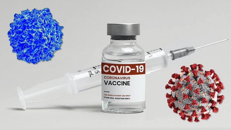  Najviši nemački sud priznao da su vakcine protiv COVID-19 štetne, čak i fatalne