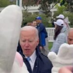 PAZI ZEKA! Bajden se frapirao kada je video čoveka u odelu uskršnjeg zeca pa pobeogao u nepoznatom pravcu (VIDEO)