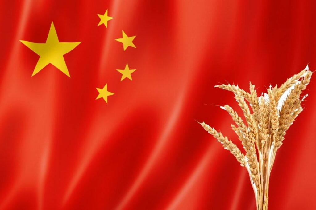 Od Kine se traži da proda žito iz robnih rezervi kako pomogla Zapadu