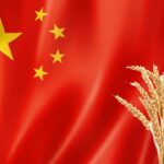 Od Kine se traži da proda žito iz robnih rezervi kako pomogla Zapadu