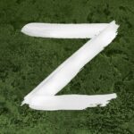 HIT! U nemačkom okrugu zabranjeno izdavanje registarskih tablica koje sadrže slovo Z