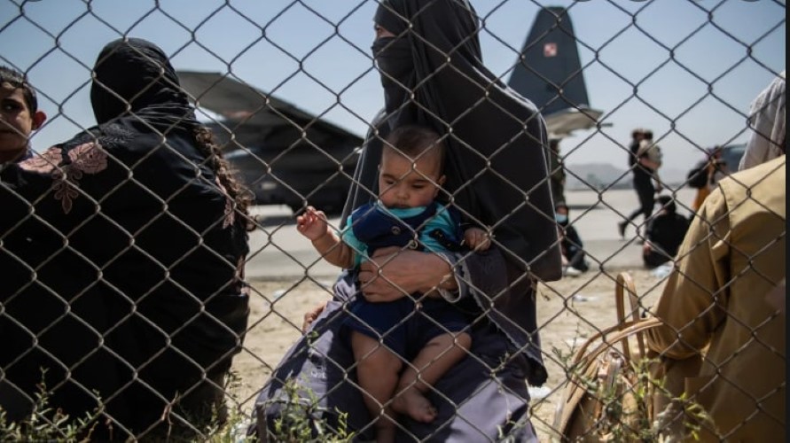  To je ta Evropska jednakost?! Nemci proteruju Avganistanske izbeglice kako bi primili Ukrajinske