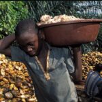 Britanija i njene robovlasničke avanture u 21. veku! Proizvođač čokolade oprtužen za iskorišćavanje dece u Africi