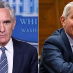 Fauči: Zaključavanja bi se mogla iskorititi na pozitivan način! Dr Scot Atlas: Zaključavanja dovela do miliona žrtava