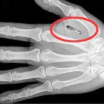 Internet tela znači potpunu kontrolu nad vašim telom, ponašanjem i radnjama