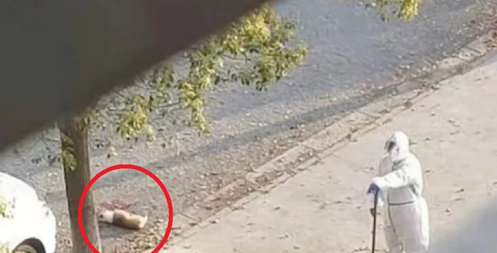 Uznemirujući video! Zdravstveni radnik u Šangaju ubija psa na sred ulice jer mu je gazda odveden u karantin (VIDEO)