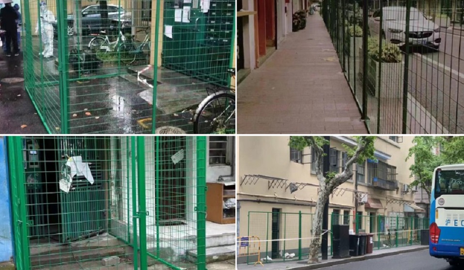  Kineske vlasti u Šangaju zatvaraju ljude u KAVEZE! Postavlaju žičane ograde ispred ulaza zgrada