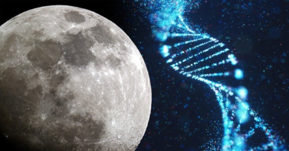  SpaceX je upravo poslao ljudsku DNK u skladiše na Mesecu da bi ga vanzemaljci mogli pronaći