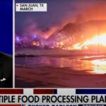 DA LI SE OVAKO IZAZIVA KRIZA? Taker Karlson o silnim požarima u prehrambenim pogonima