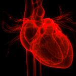 The Times: mRNA tehnologija uskoro počinje da se koristi i u lečenju pacijenata sa srčanim problemima